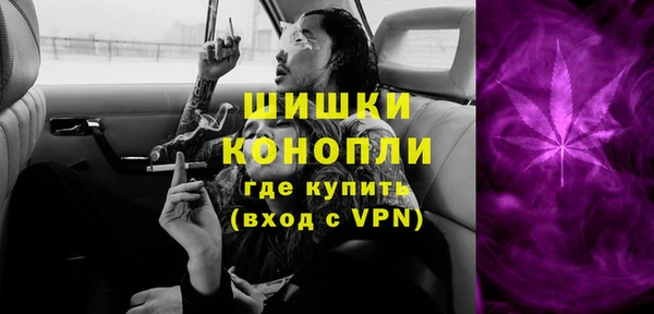 Альфа ПВП Бородино