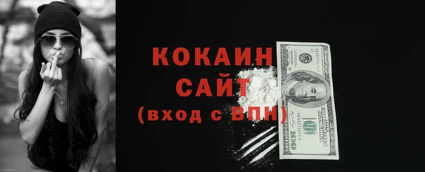 Альфа ПВП Бородино