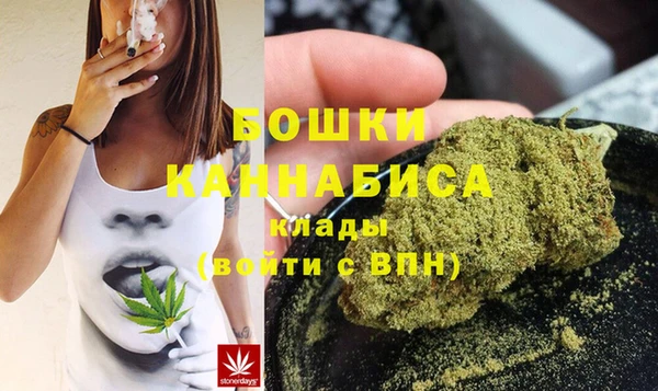 Альфа ПВП Бородино