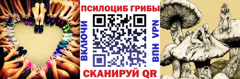 Псилоцибиновые грибы мицелий  mega ссылки  Клин 